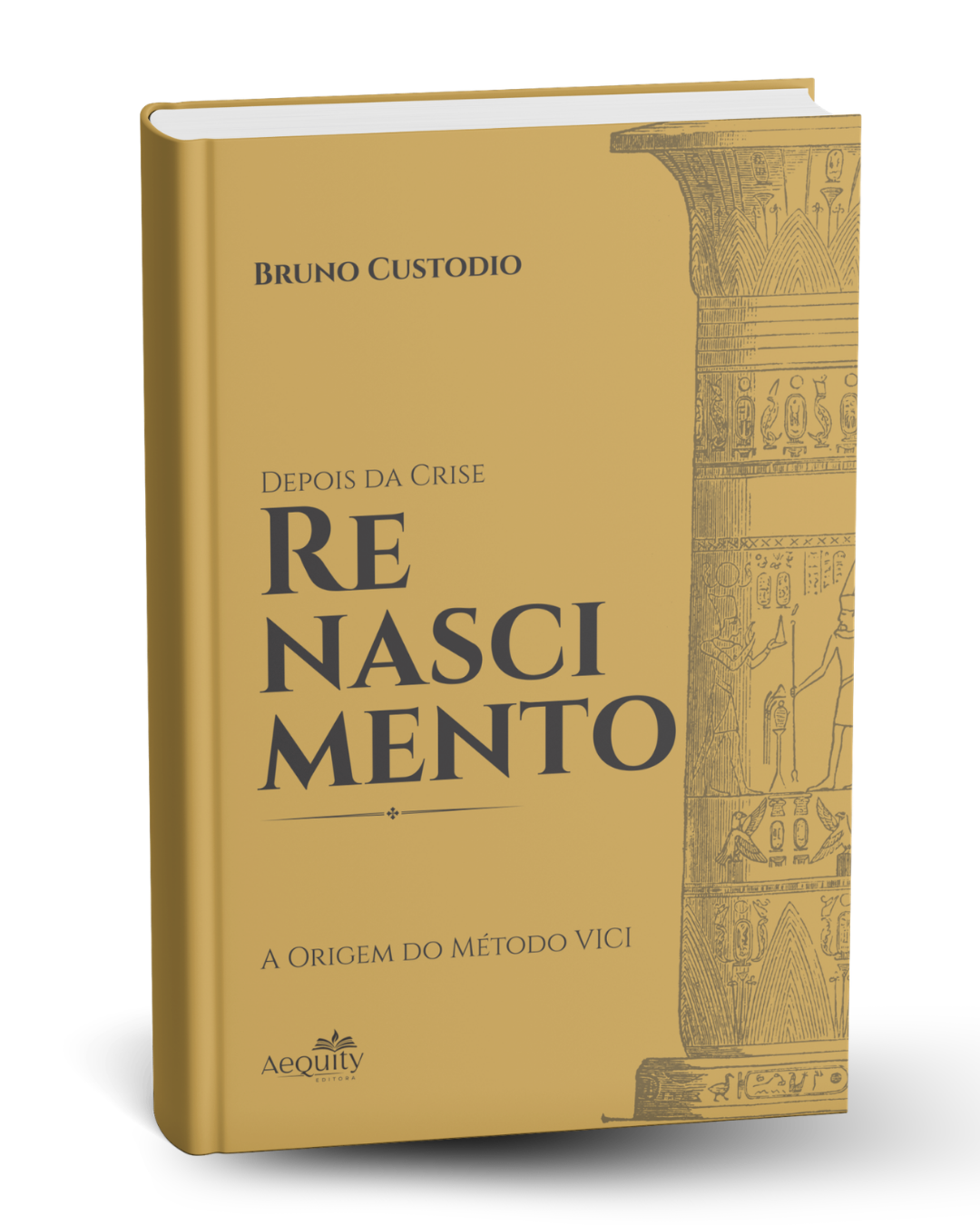 Livro Depois da Crise: Renascimento, de Bruno Custódio